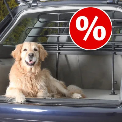 Perro en el maletero de un coche junto a una rejilla divisoria metálica negra; círculo rojo con símbolo de porcentaje blanco indicando oferta o descuento. Perro en el maletero de un coche junto a una rejilla divisoria metálica negra; círculo rojo con símbolo de porcentaje blanco indicando oferta o descuento.
