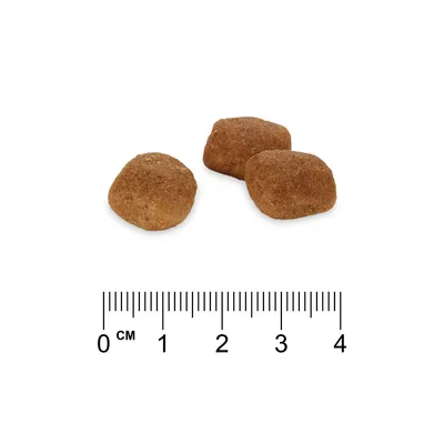 Drei braune Futterstücke mit Grössenvergleich anhand eines Lineals, Masse zwischen 2 und 3 cm.