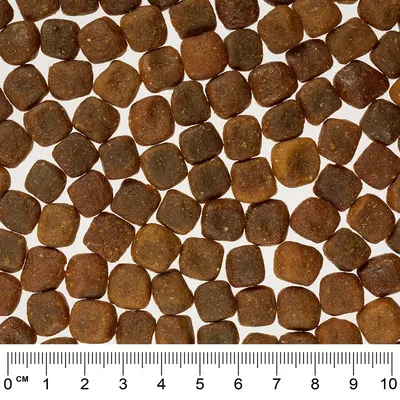 Rocco Mealtime - Lam