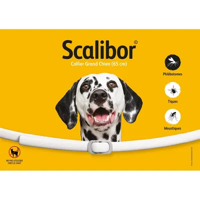 Scalibor Collier Grand Chien 65 cm, phlébotomes, tiques, moustiques, ne pas utiliser chez le chat. Dalmatien portant le collier blanc visible sur fond jaune.