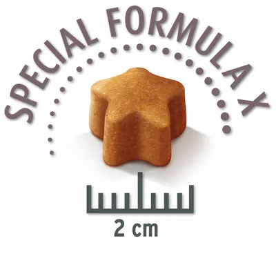 Croquette en forme d’étoile, mention « SPECIAL FORMULA X » et règle indiquant 2 cm de diamètre.