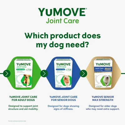 Comparison of YuMOVE Joint Care products: for adult dogs to support joint structure and mobility, for senior dogs showing stiffness, and Max Strength for older dogs needing extra support.