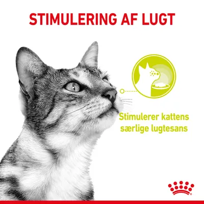 STIMULERING AF LUGT. Stimulerer kattens særlige lugtesans. Billede af kat og grafisk ikon med katteprofil og madskål.