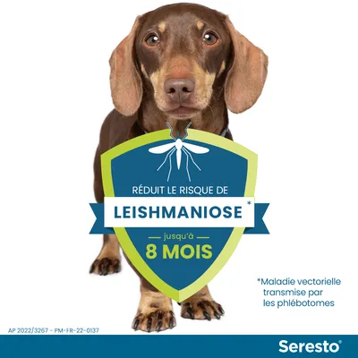 Seresto. Réduit le risque de leishmaniose jusqu’à 8 mois. Maladie vectorielle transmise par les phlébotomes.
