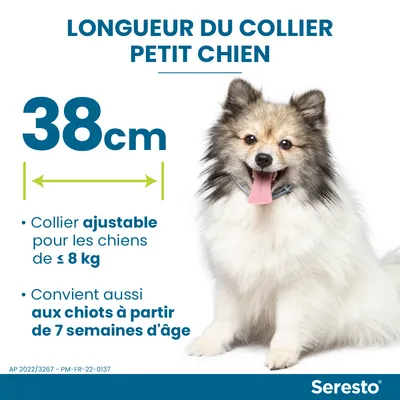 Seresto longueur du collier petit chien : 38 cm. Collier ajustable pour chiens ≤ 8 kg, convient aux chiots dès 7 semaines d’âge. Chien portant le collier visible à droite.