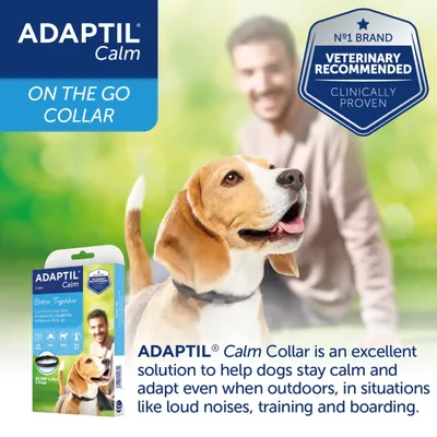 ADAPTIL Calm Collar helps dogs stay calm and adapt in situations like loud noises, training and boarding. Veterinary recommended, clinically proven. On the go collar.