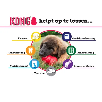 KONG helpt op te lossen: kauwen, tandwisseling, verlatingsangst, verveling, gewichtsbeheersing, benchtraining, graven en blaffen. Hond met rode KONG speeltje zichtbaar.