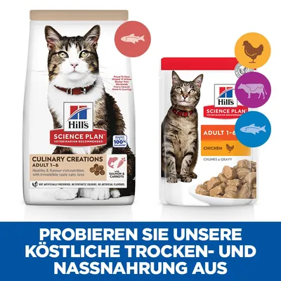 Hill's Science Plan Adult 1-6 kattenvoer, droogvoer met zalm en wortelen, natvoer met kip.