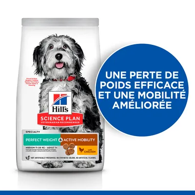 Hill’s Science Plan Perfect Weight & Active Mobility avec poulet, pour chiens adultes 11–25 kg. Texte : une perte de poids efficace et une mobilité améliorée.