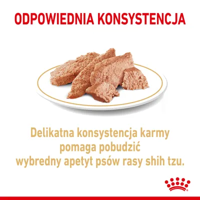 Odpowiednia konsystencja. Delikatna konsystencja karmy pomaga pobudzić wybredny apetyt psów rasy shih tzu. Na talerzu widoczna porcja mokrej karmy.