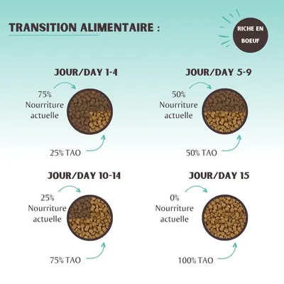 Tableau de transition alimentaire : jours 1–4 75 % nourriture actuelle, 25 % TAO ; jours 5–9 50 % chaque ; jours 10–14 25 % nourriture actuelle, 75 % TAO ; jour 15 100 % TAO. Riche en bœuf.