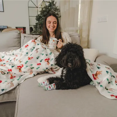 Cão preto com meias de Natal e manta com padrão festivo num sofá.