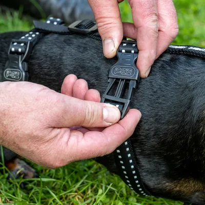 Nahaufnahme eines schwarzen Hundegeschirrs mit Klickverschluss, der von einer Hand geöffnet wird. Geschirr mit reflektierenden Streifen und robustem Design.