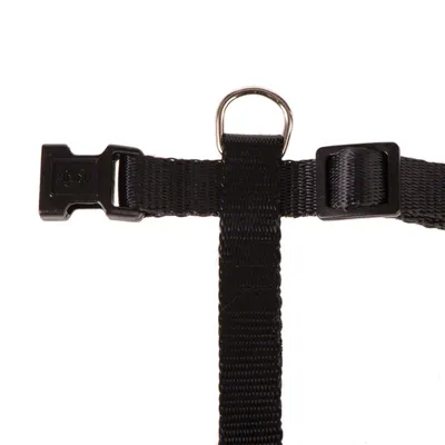 Harnais noir en nylon avec boucle plastique et anneau métallique, vue de détail sur la fermeture et les sangles ajustables.