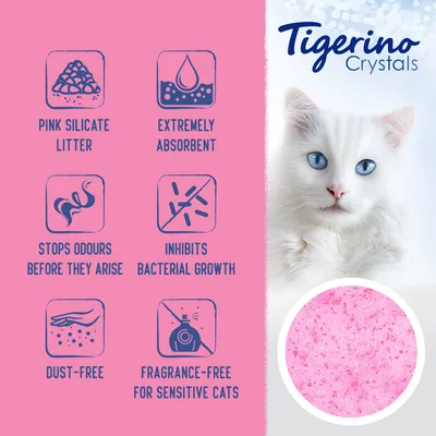 Tigerino Crystals kattenbakvulling, roze silicaat. Eigenschappen: extreem absorberend, voorkomt geurtjes, remt bacteriegroei, stofvrij, geurloos voor gevoelige katten. Tekst in het Engels.