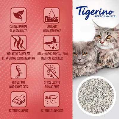 Tigerino Performance kattenbakvulling. Engelstalige claims: coarse, natural clay granulate, extremely high absorbency, with active carbon for extra strong odour absorption, ultra-hygienic, especially for multi-cat households, perfect for long-haired cats, sticks less to fur and paws, extreme clumping, extremely low-dust. Afbeelding van twee katten en close-up van korrels.