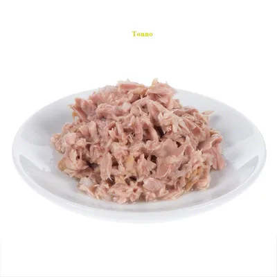 Tonno sminuzzato su un piatto bianco, testo visibile in alto: Tonno.
