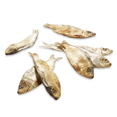 Kuivattuja kokonaisia kaloja, näkyvissä kuusi kappaletta valkoisella taustalla.