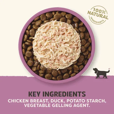 Applaws Taste Toppers Natural in Gravy 12 x 156g - Chicken & Duck Applaws Taste Toppers Natural in Gravy 12 x 156g - Chicken & Duck
