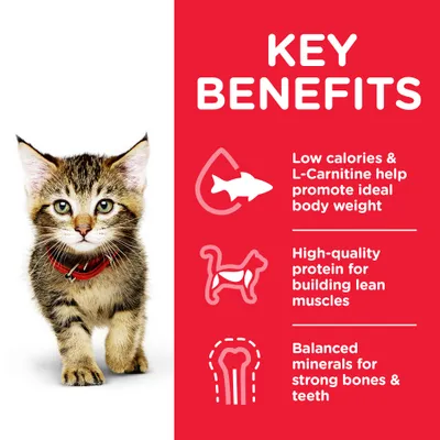 Tekst na engleskom: Key benefits. Low calories & L-Carnitine help promote ideal body weight. High-quality protein for building lean muscles. Balanced minerals for strong bones & teeth.