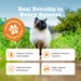 Zesty Paws Cat Urinary Care paszta