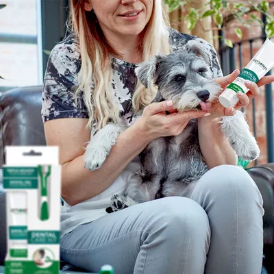 Vrouw brengt Vet's Best Dental Gel aan op de tanden van een hond. Verpakking toont tandverzorgingsset met gel en borstel.