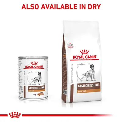 Royal Canin Gastrointestinal Low Fat shown in both wet and dry food packaging. Text states: Also available in dry.