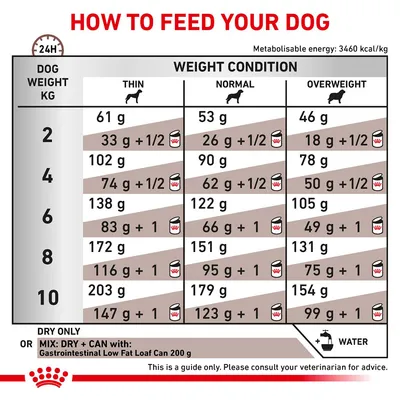 Feeding guide table showing daily dry and mixed food amounts in grams for dogs by weight and condition: thin, normal, overweight. Includes water advice and note to consult a veterinarian.