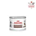 Royal Canin Veterinary Canine Puppy Gastrointestinal Ultra Soft Mousse
