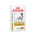 Royal Canin Veterinary Dog - Urinary S/O Ageing 7+ in Loaf - dog wet food