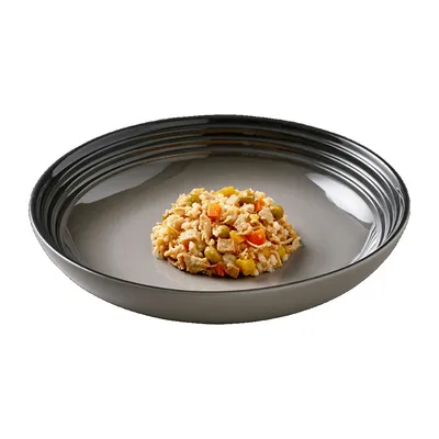 Portion of mixed pet food with visible rice, peas, carrots and small chunks served on a grey plate.
