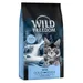 Wild Freedom Kitten "Cold River" Salmon - Grain-Free