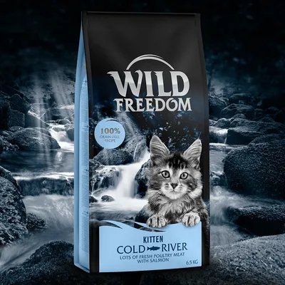Sac de croquettes Wild Freedom Cold River Kitten, 100% grain-free recipe, lots of fresh poultry meat with salmon, 6,5 kg. Image d’un chaton sur l’emballage.