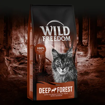 Opakowanie karmy Wild Freedom Deep Forest dla kotów, 100% grain-free recipe, lots of fresh poultry meat with venison, waga 6,5 kg. Grafika kota na tle lasu.