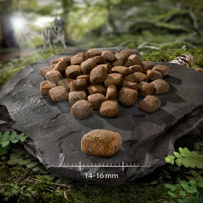 Croquettes pour chien présentées sur une pierre, avec indication de taille : 14–16 mm. Aucun autre texte ou marque visible.