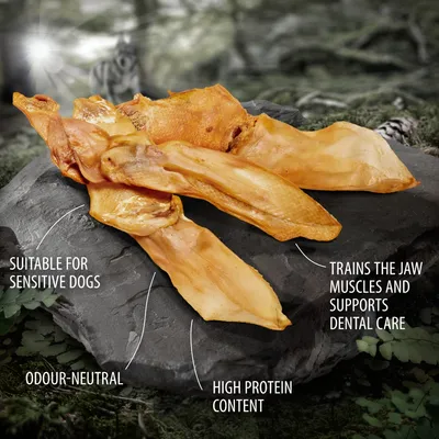 SUITABLE FOR SENSITIVE DOGS, ODOUR-NEUTRAL, HIGH PROTEIN CONTENT, TRAINS THE JAW MUSCLES AND SUPPORTS DENTAL CARE (κείμενο στα αγγλικά)
