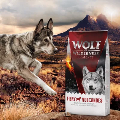 Wolf of Wilderness Elements Fiery Volcanoes. Jediný živočíšny proteín, čerstvé jahňacie mäso, 100 % bezobilninová receptúra.