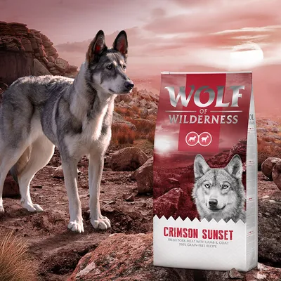 Συσκευασία Wolf of Wilderness Crimson Sunset, εμφανές κείμενο: Fresh pork meat with lamb & goat, 100% grain-free recipe. Φόντο με λύκο σε βραχώδες τοπίο.