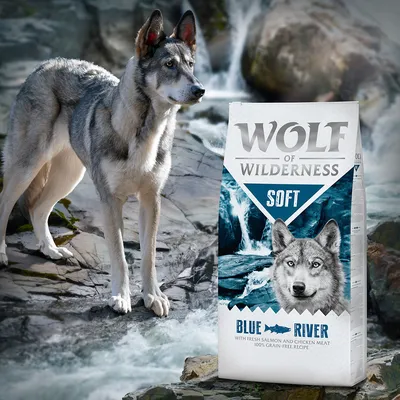 Sac de croquettes Wolf of Wilderness Soft Blue River, texte visible : with fresh salmon and chicken meat, 100% grain-free recipe. Loup en arrière-plan.