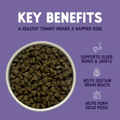 Key benefits: supports older bones and joints, helps sustain brain health, helps form solid poos. A healthy tummy means a happier dog. Bowl of dry pet food shown.