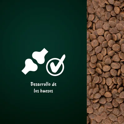 Texto visible: Desarrollo de los huesos, junto a iconos de huesos y marca de verificación. Pienso marrón mostrado a la derecha.