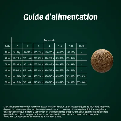 Guide d’alimentation pour chiens : tableau des quantités recommandées par poids (10 à 80 kg) et âge (1,5 à 20 mois), valeurs en grammes par jour. Instructions visibles en bas de l’image.