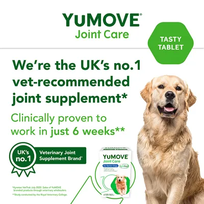 YuMOVE Joint Care. UKs No.1 veterinärisch empfohlenes Gelenkergänzungsmittel für ältere Hunde. Klinisch bewiesen, Wirkung in nur 6 Wochen. Packung mit 120 schmackhaften Tabletten.