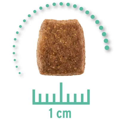 Zbliżenie brązowego kawałka karmy o wielkości 1 cm, pokazane z miarką i łukiem punktowym.