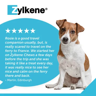 Zylkene Calming Chews for Small Dogs <10kg - 14 Chews Zylkene Calming Chews for Small Dogs <10kg - 14 Chews