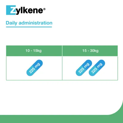 Zylkene Calming Supplement for Medium Dogs 10 - 30 kg - 20 Capsules Zylkene Calming Supplement for Medium Dogs 10 - 30 kg - 20 Capsules