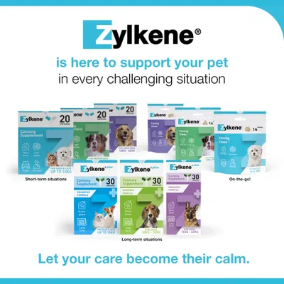 Zylkene Calming Supplement for Cats or Small Dogs <10kg - 20 Capsules