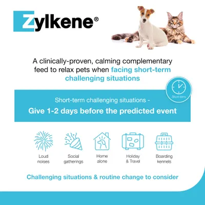 Zylkene Calming Supplement for Cats or Small Dogs <10kg - 20 Capsules