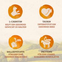 L-Carnitin: Hilft ein gesundes Gewicht zu halten. Taurin: Unterstützt ein gesundes Herz. Ballaststoffe: Fördern eine gesunde Verdauung. Proteine: Für starke, schlanke Muskulatur.