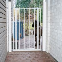 Porta di sicurezza in metallo bianco tra due pareti, adatta a delimitare aree. Cane dietro la griglia all’esterno.